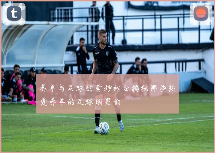 养羊与足球的奇妙结合揭秘那些热爱养羊的足球明星们
