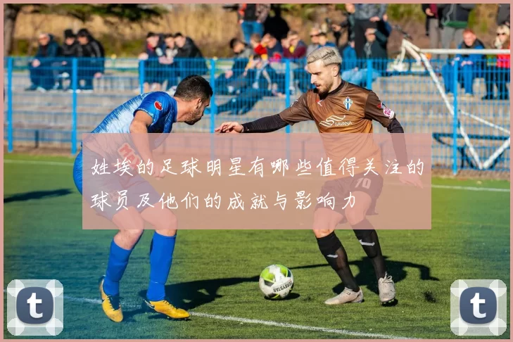 姓埃的足球明星有哪些值得关注的球员及他们的成就与影响力