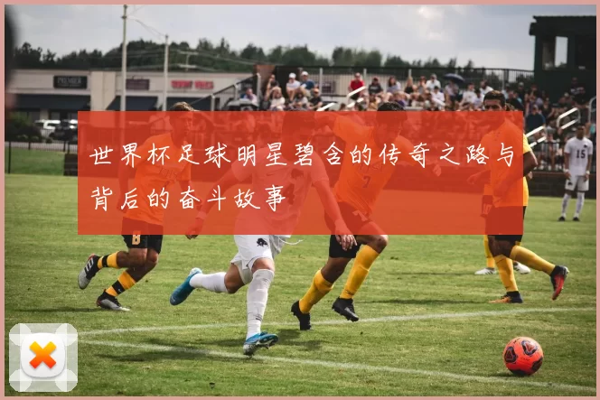世界杯足球明星碧含的传奇之路与背后的奋斗故事