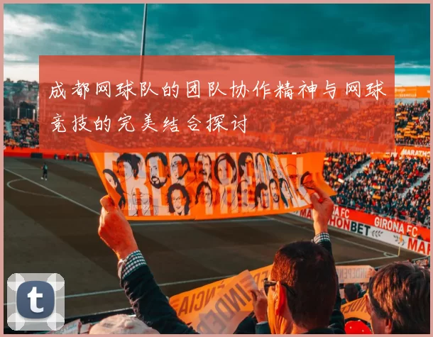 成都网球队的团队协作精神与网球竞技的完美结合探讨