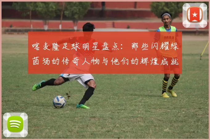 喀麦隆足球明星盘点：那些闪耀绿茵场的传奇人物与他们的辉煌成就