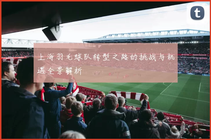 上海羽毛球队转型之路的挑战与机遇全景解析
