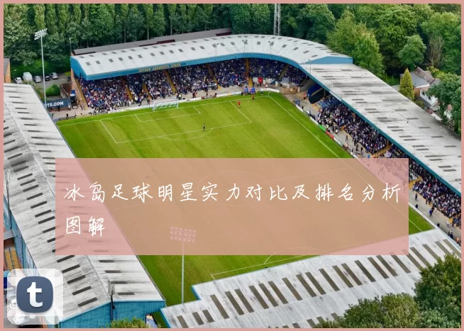 冰岛足球明星实力对比及排名分析图解