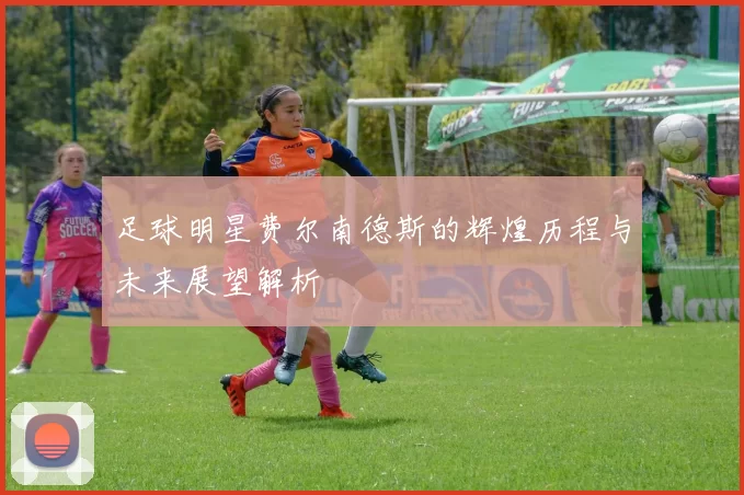 足球明星费尔南德斯的辉煌历程与未来展望解析