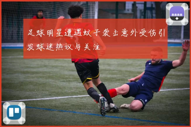足球明星遭遇蚊子袭击意外受伤引发球迷热议与关注